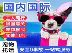 禄口空运代理国际宠物托运 【国
